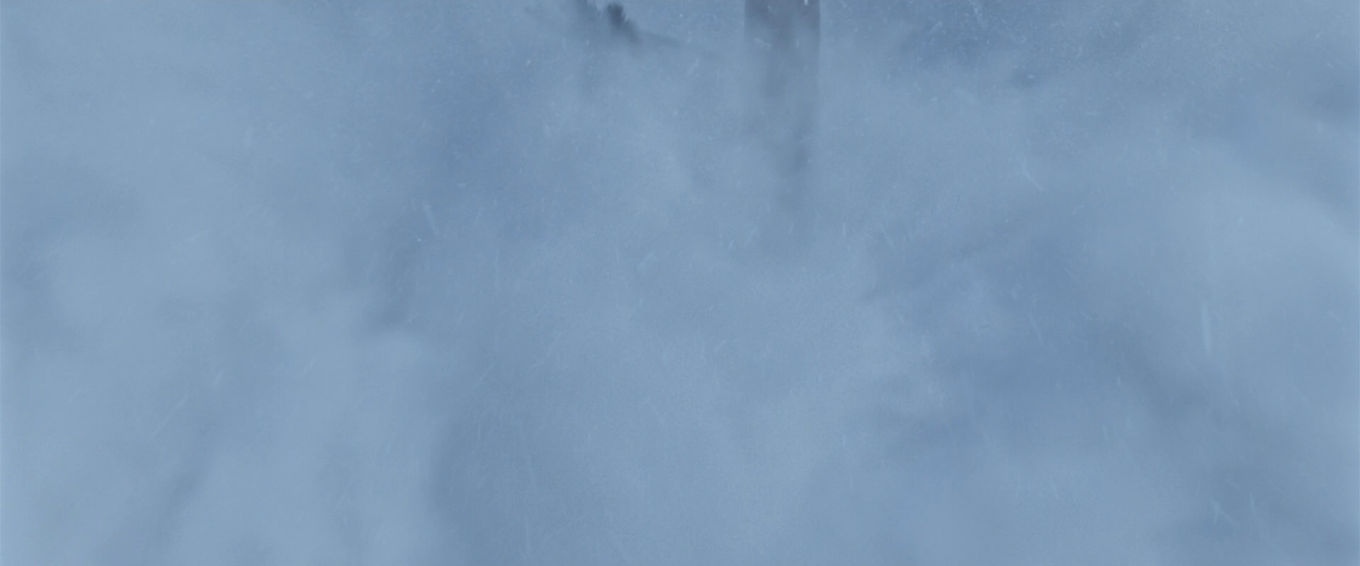 War for the Planet of the Apes (2017) screencap 14808