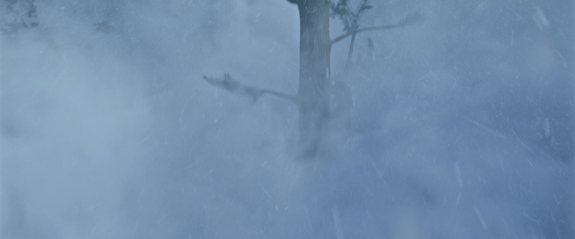 War for the Planet of the Apes (2017) movie still 14809