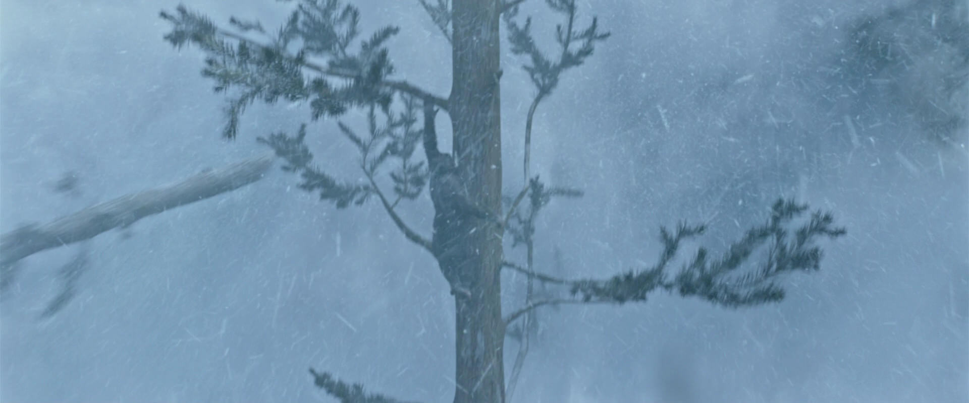 War for the Planet of the Apes (2017) screencap 14811