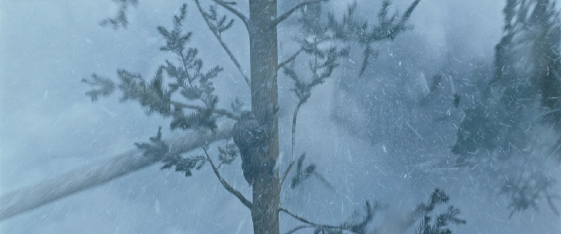War for the Planet of the Apes (2017) movie still 14812
