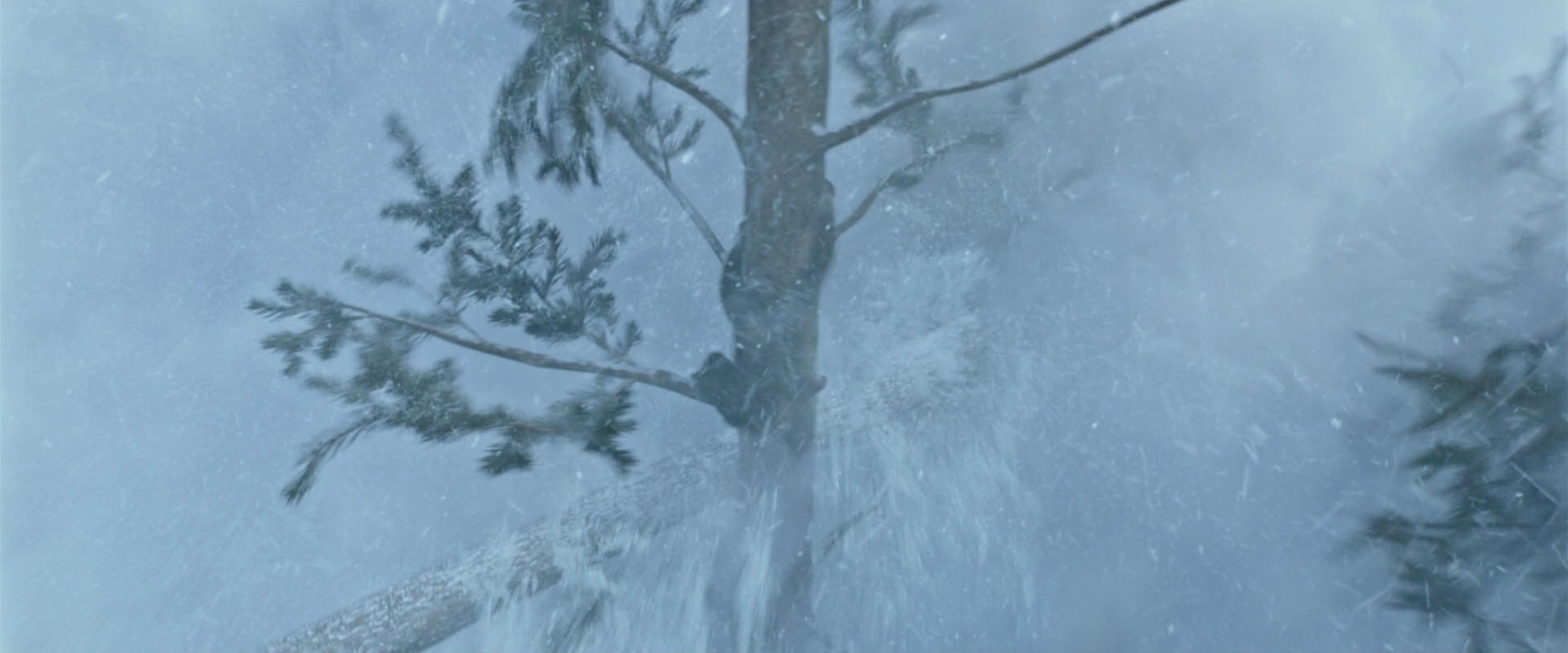 War for the Planet of the Apes (2017) HD screenshot 14813
