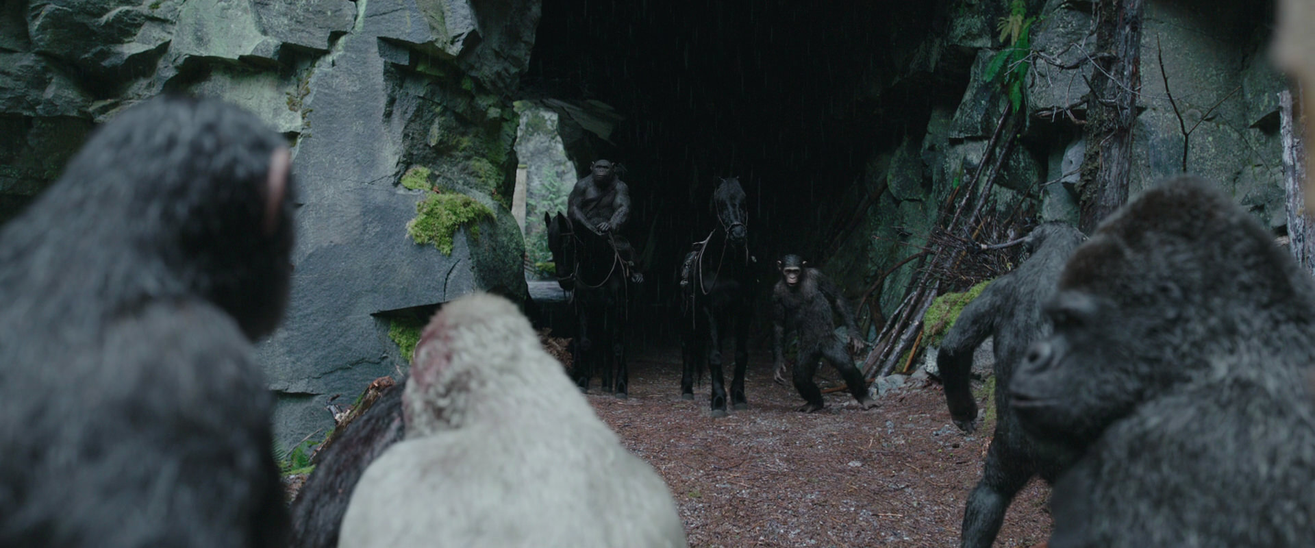 War for the Planet of the Apes (2017) screencap 1482