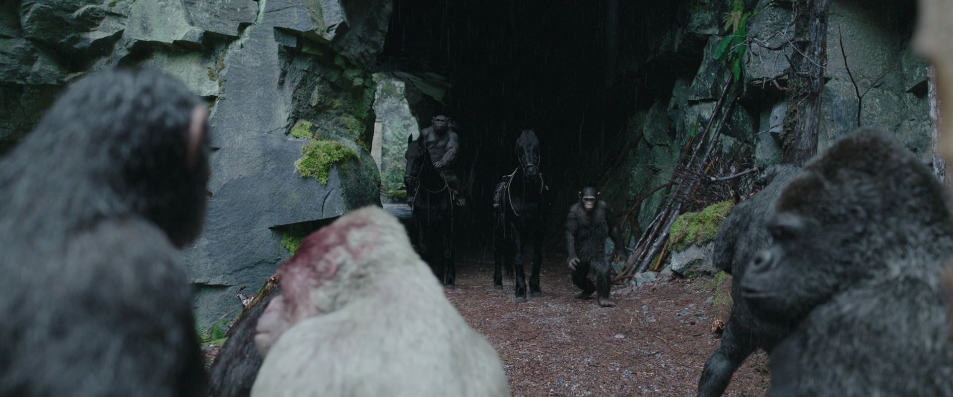 War for the Planet of the Apes (2017) movie still 1483