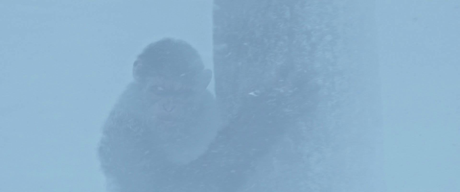 War for the Planet of the Apes (2017) movie still 14830