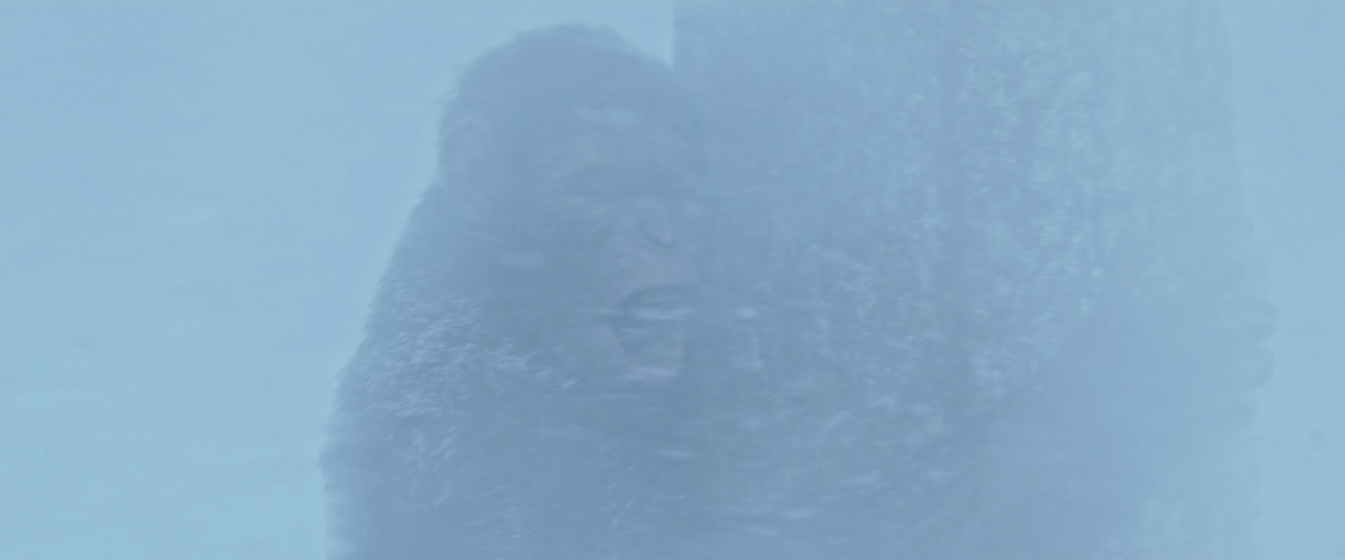War for the Planet of the Apes (2017) movie still 14836