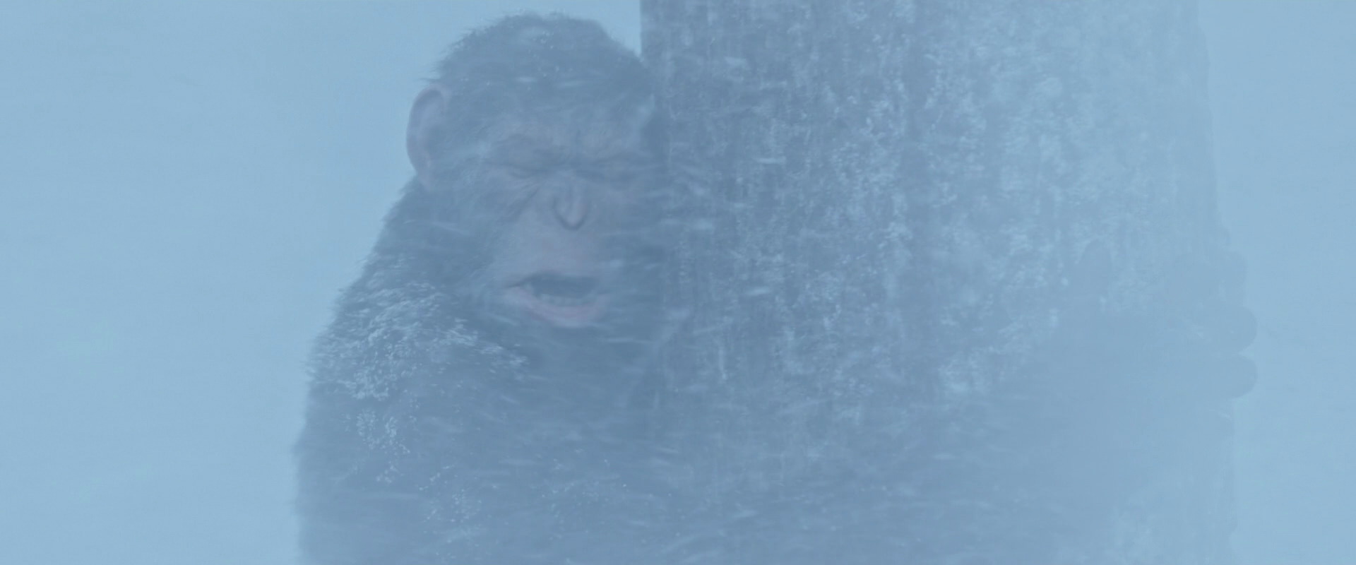 War for the Planet of the Apes (2017) HD screenshot 14837