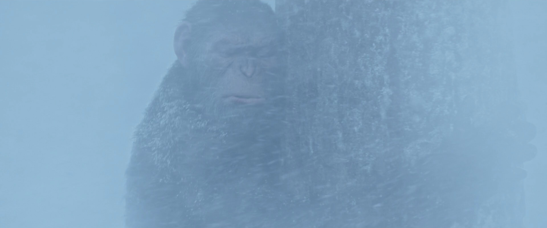 War for the Planet of the Apes (2017) screencap 14838