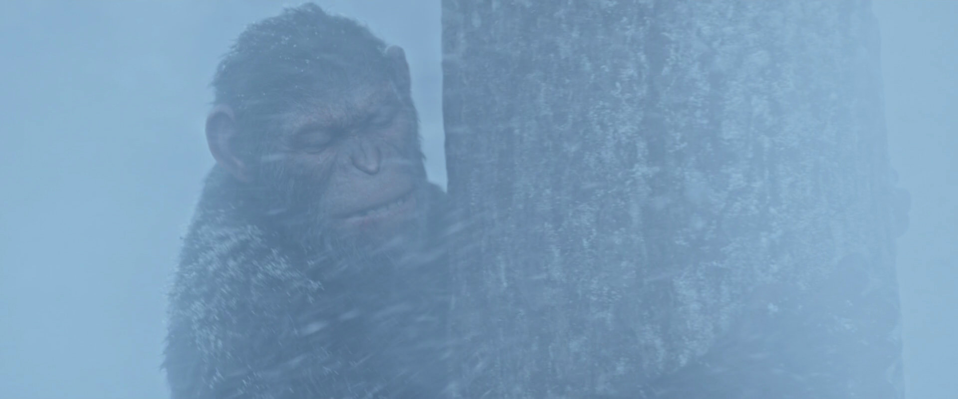 War for the Planet of the Apes (2017) movie still 14842