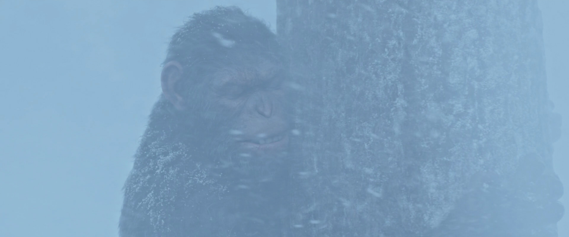 War for the Planet of the Apes (2017) HD screenshot 14843