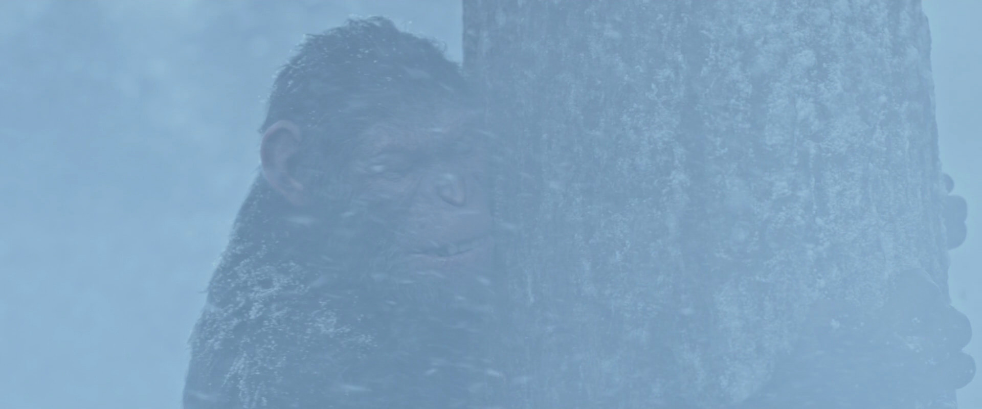 War for the Planet of the Apes (2017) screencap 14844