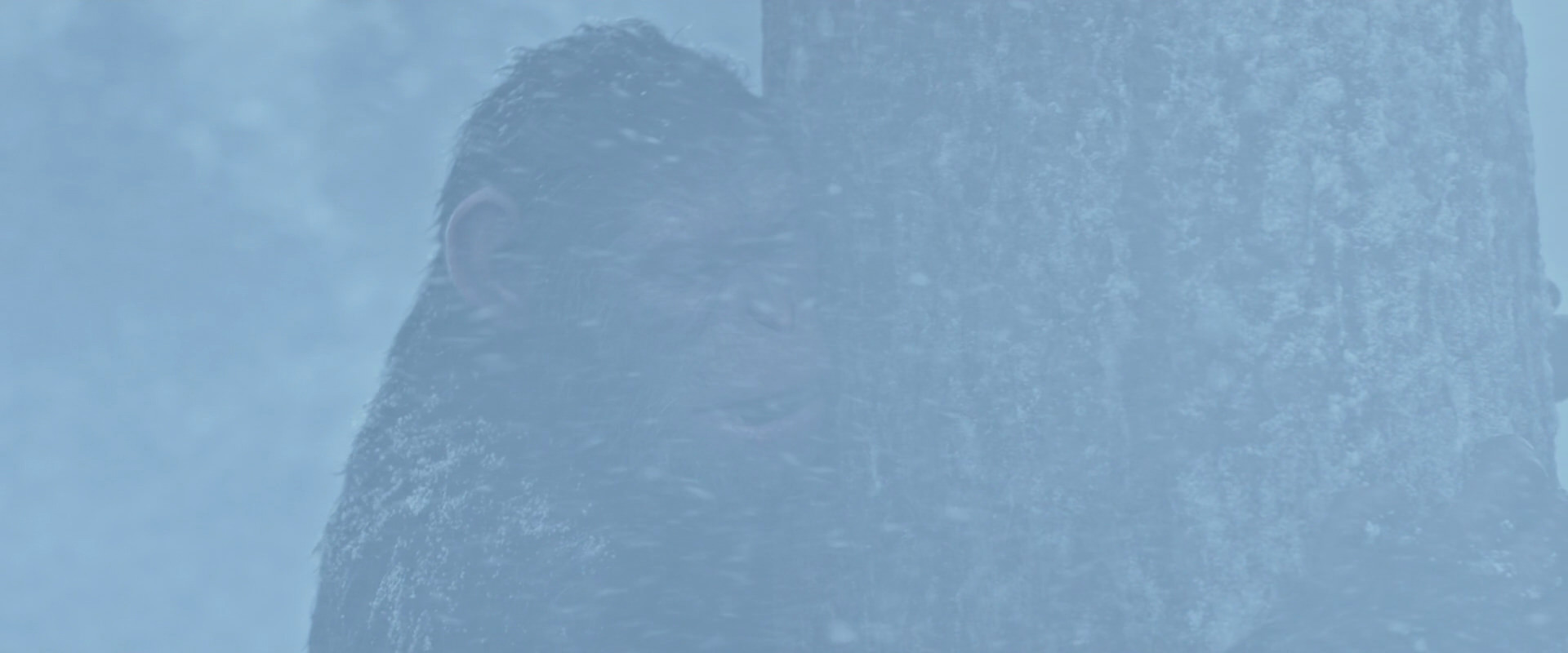 War for the Planet of the Apes (2017) movie still 14845