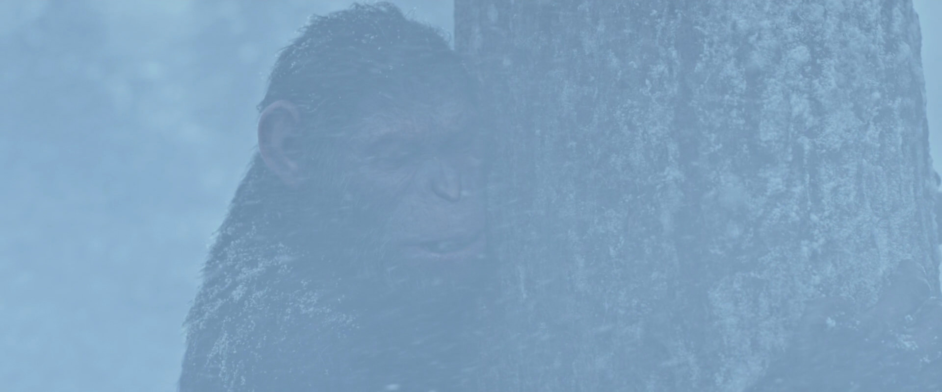 War for the Planet of the Apes (2017) HD screenshot 14846
