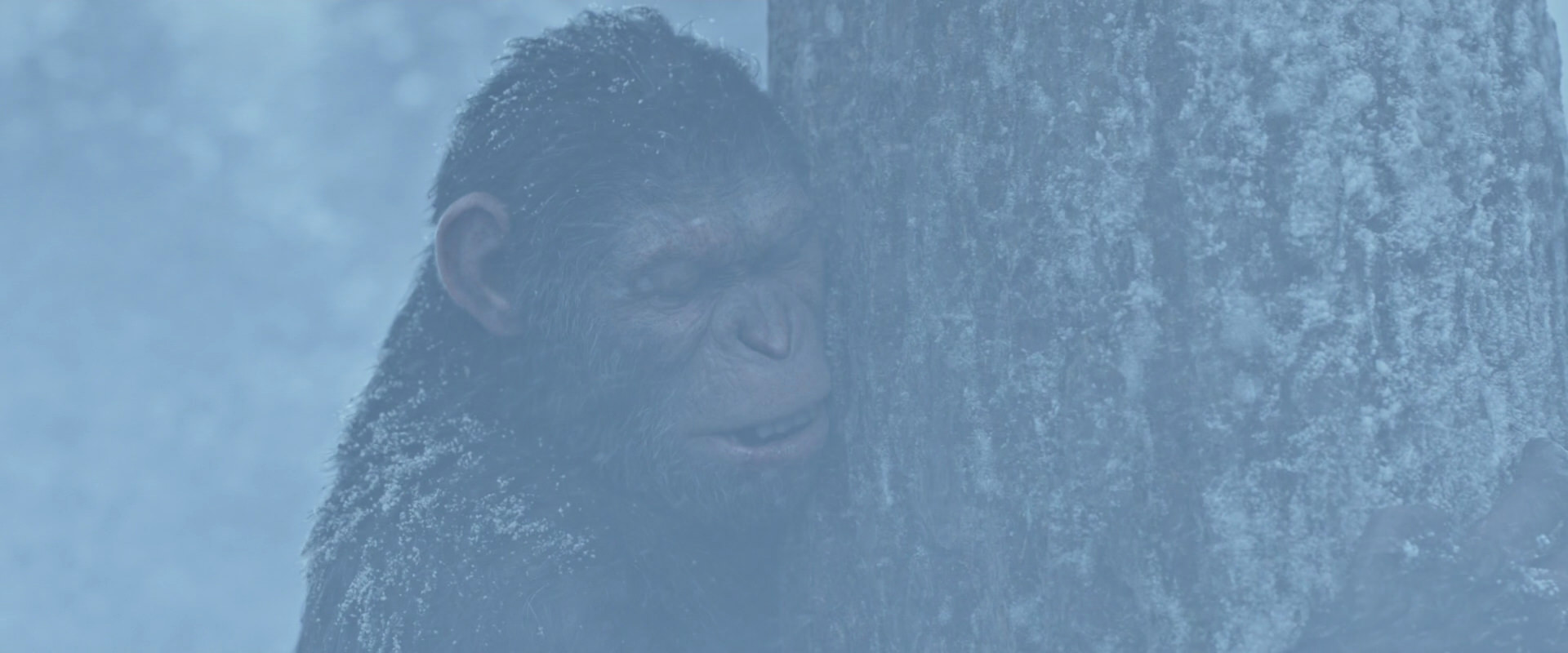 War for the Planet of the Apes (2017) screencap 14847