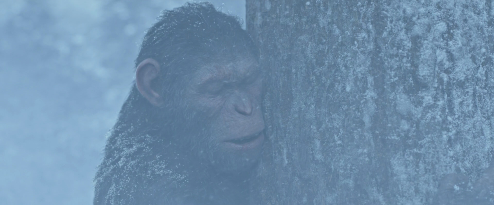 War for the Planet of the Apes (2017) HD screenshot 14849