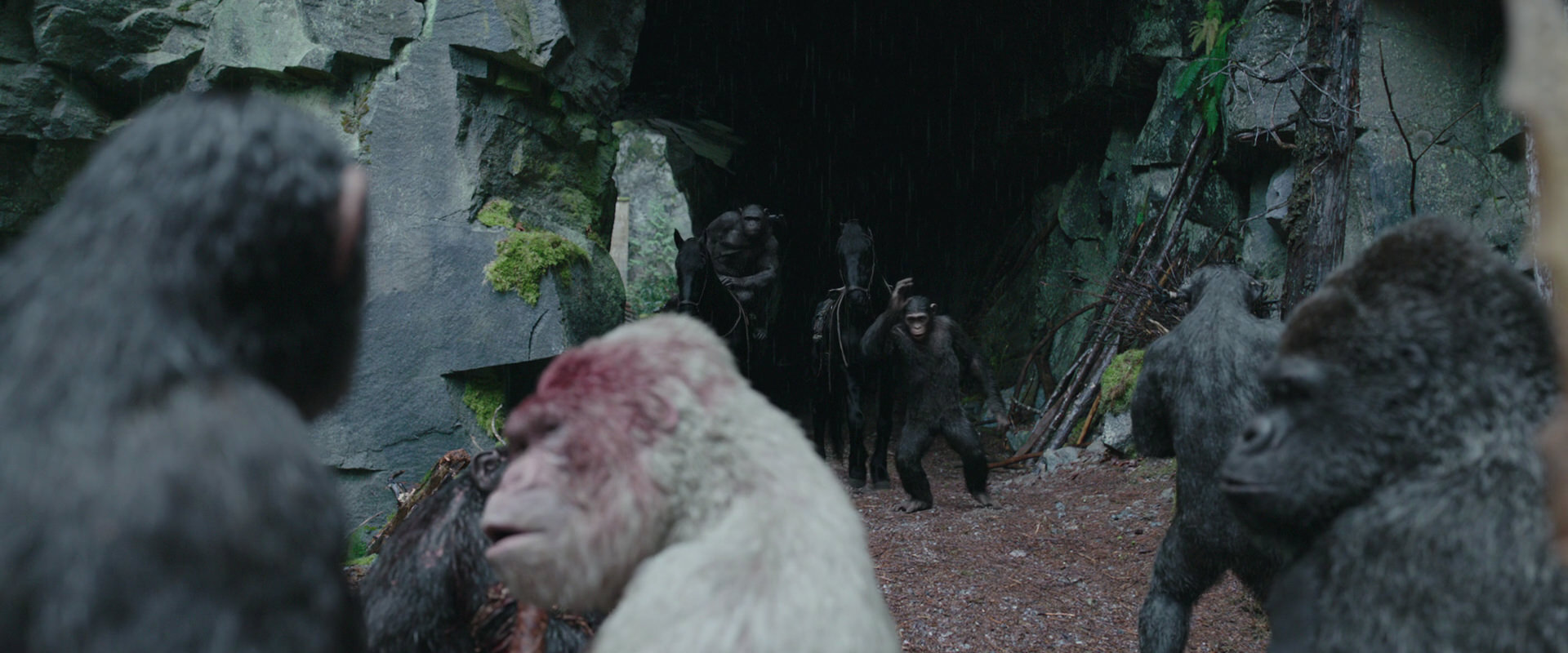 War for the Planet of the Apes (2017) screencap 1485