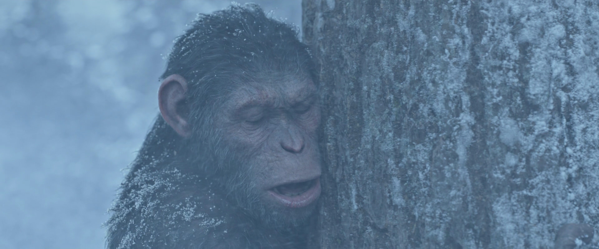 War for the Planet of the Apes (2017) HD screenshot 14852