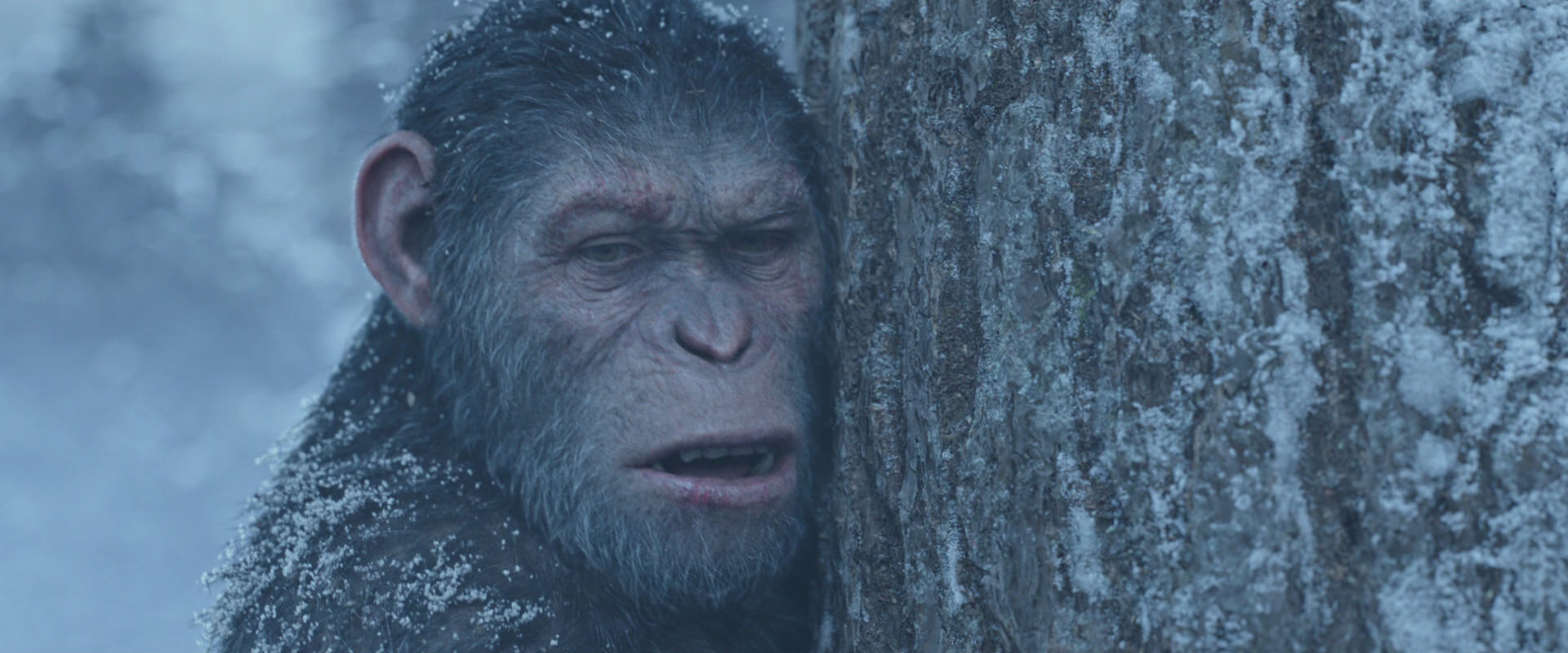 War for the Planet of the Apes (2017) HD screenshot 14858