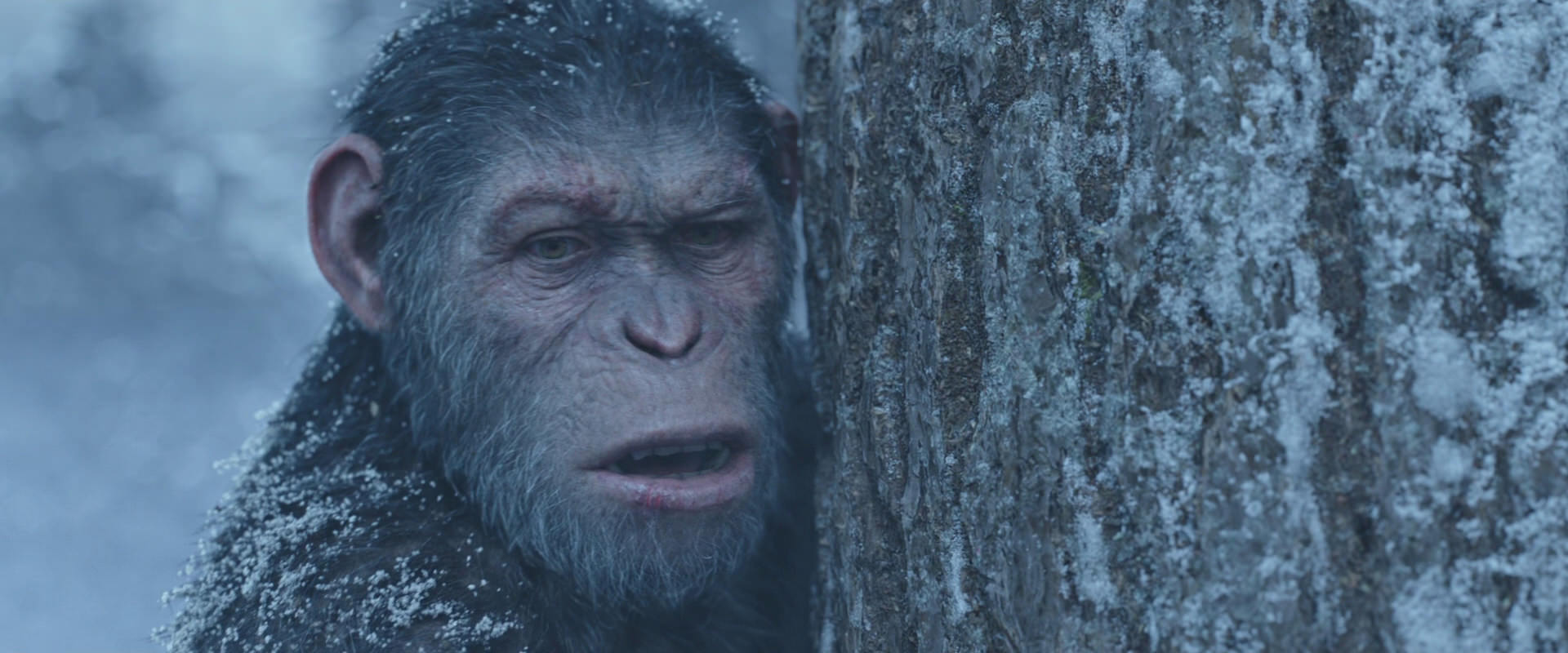 War for the Planet of the Apes (2017) screencap 14859