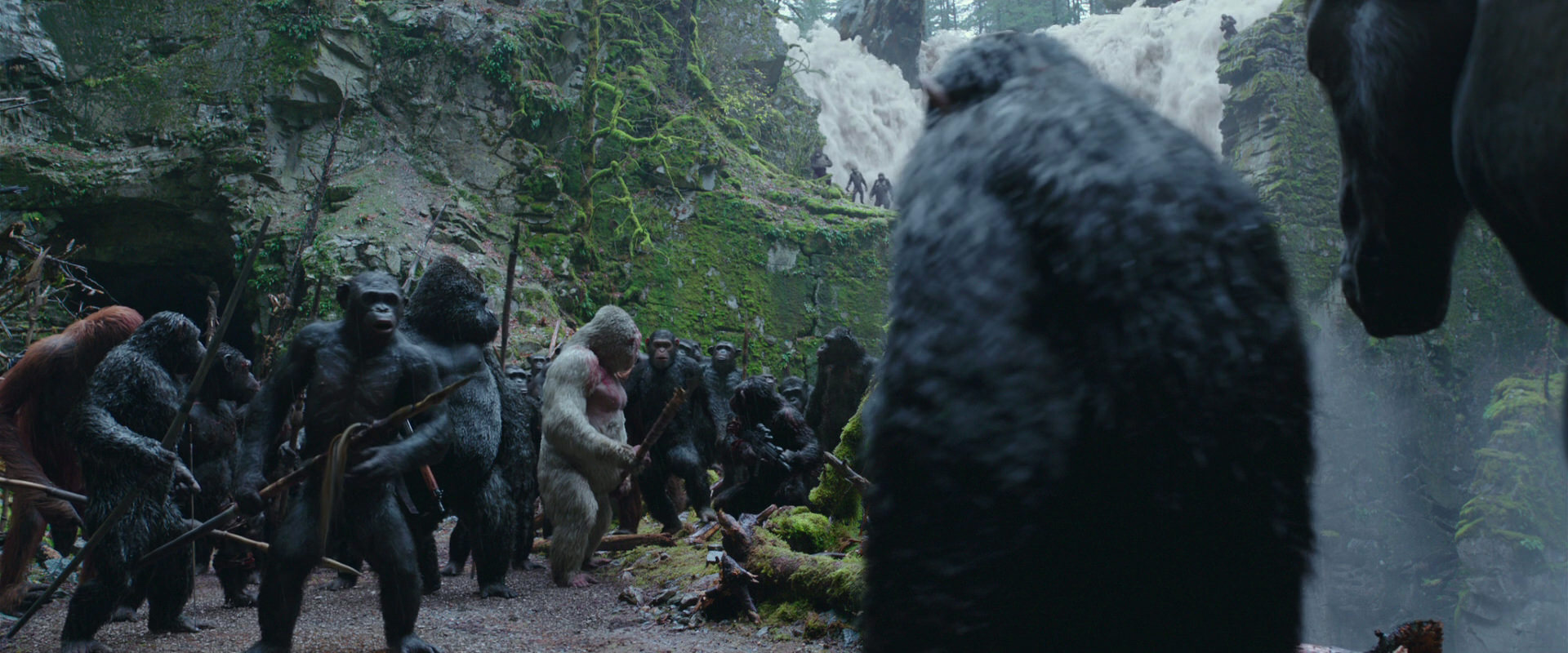 War for the Planet of the Apes (2017) movie still 1486