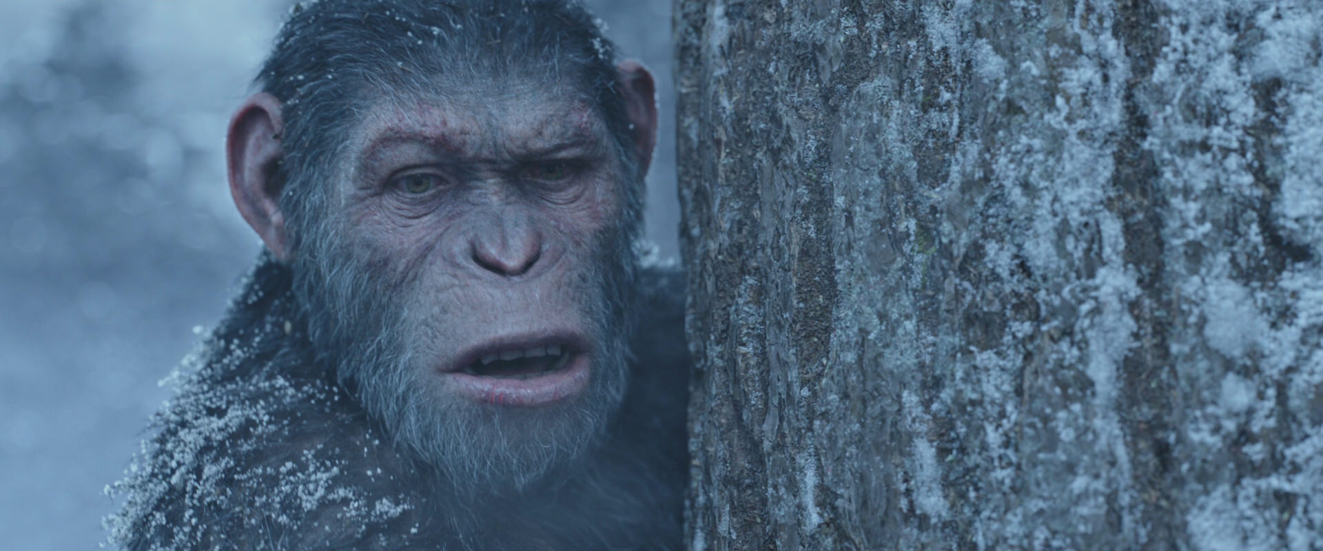 War for the Planet of the Apes (2017) movie still 14860