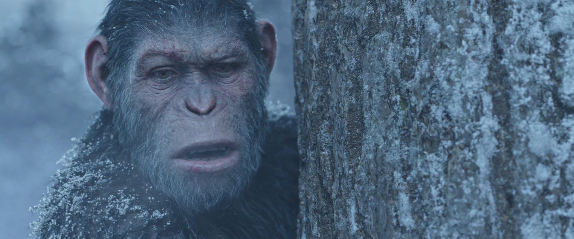 War for the Planet of the Apes (2017) HD screenshot 14861