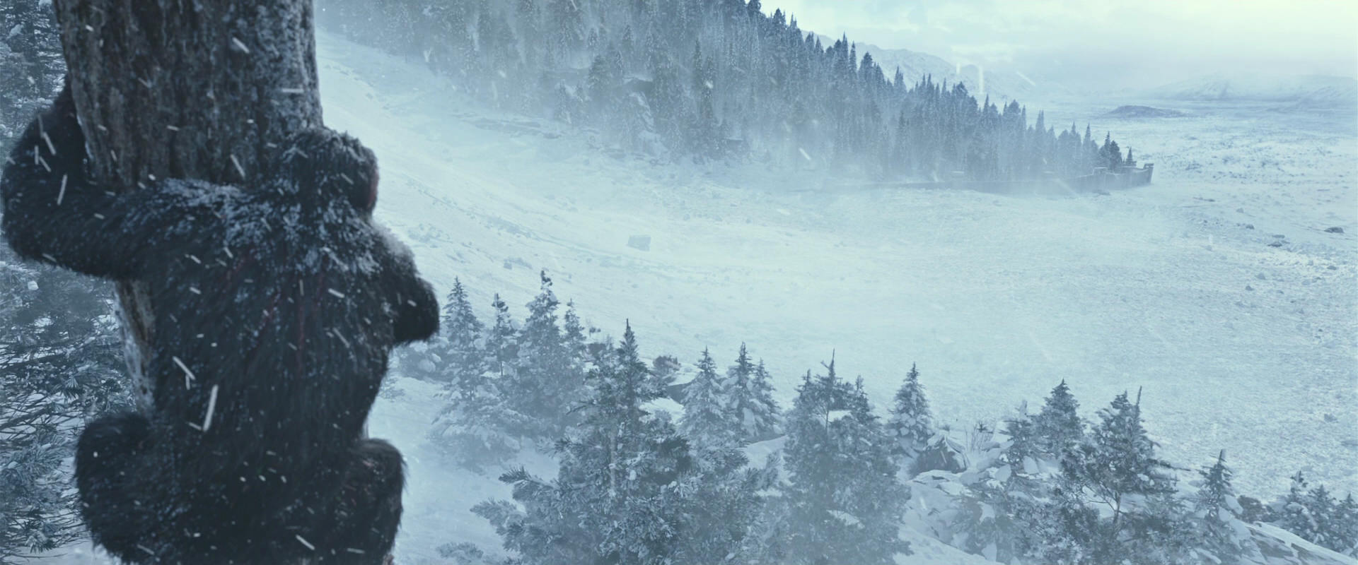 War for the Planet of the Apes (2017) movie still 14863