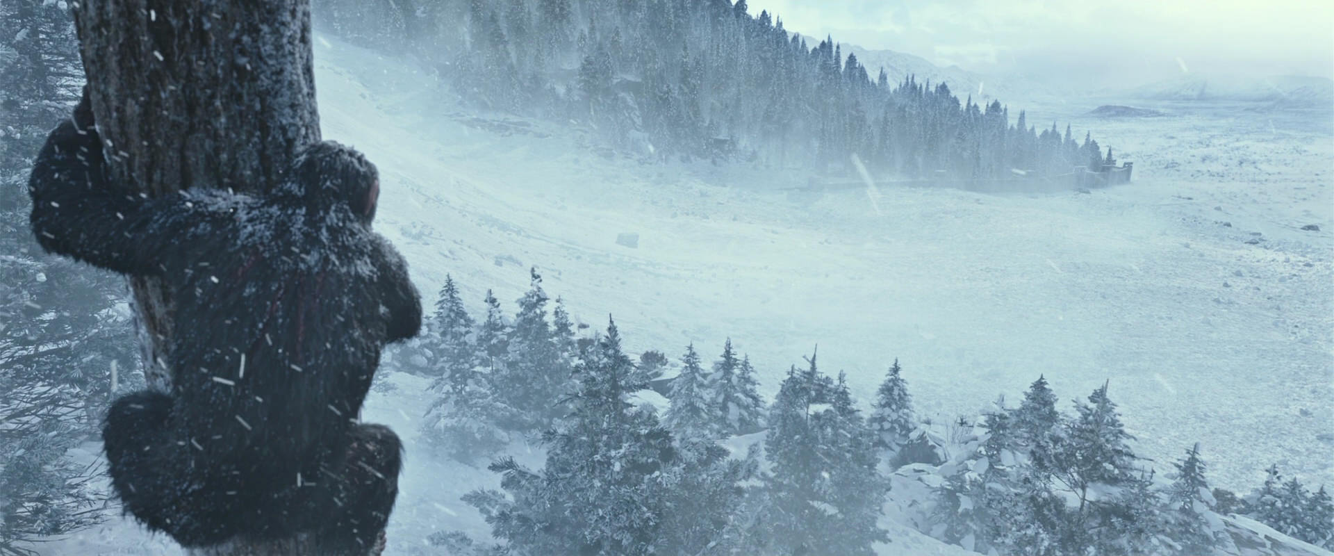 War for the Planet of the Apes (2017) HD screenshot 14864
