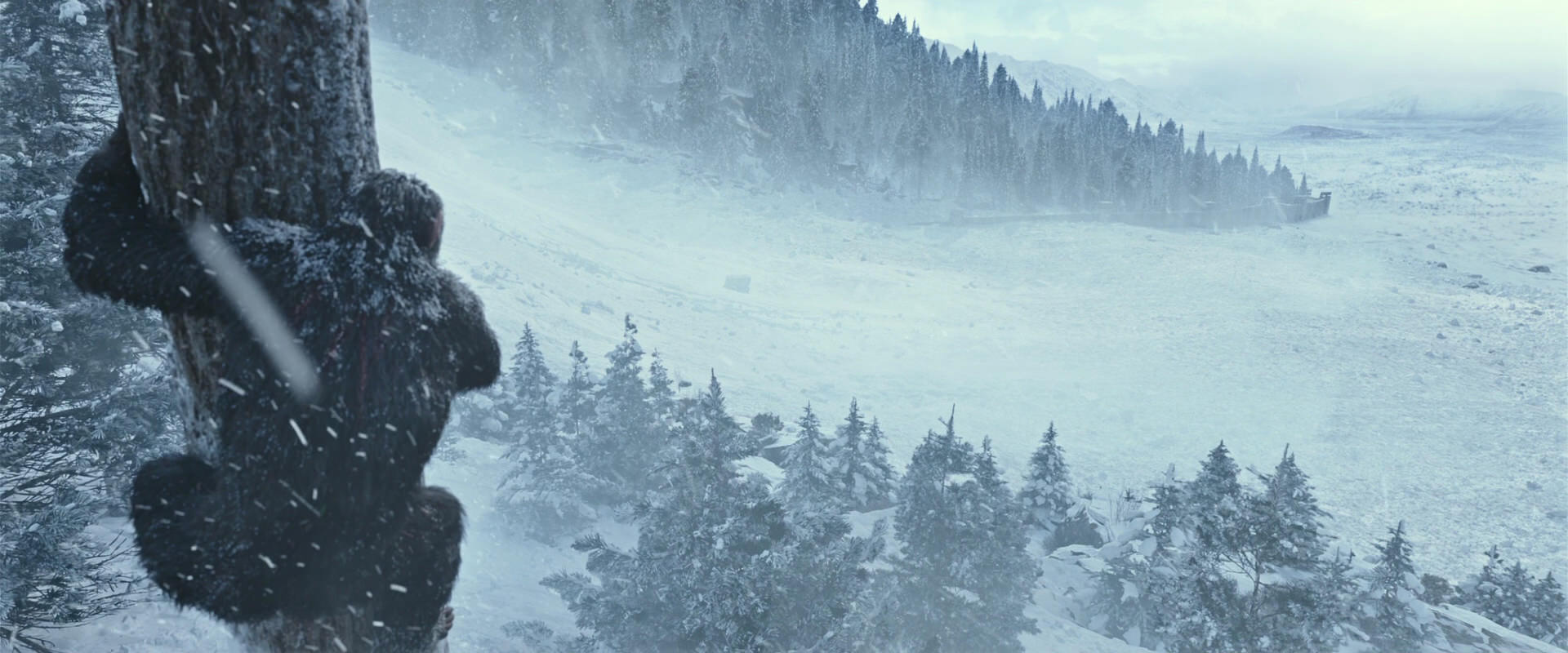 War for the Planet of the Apes (2017) screencap 14865