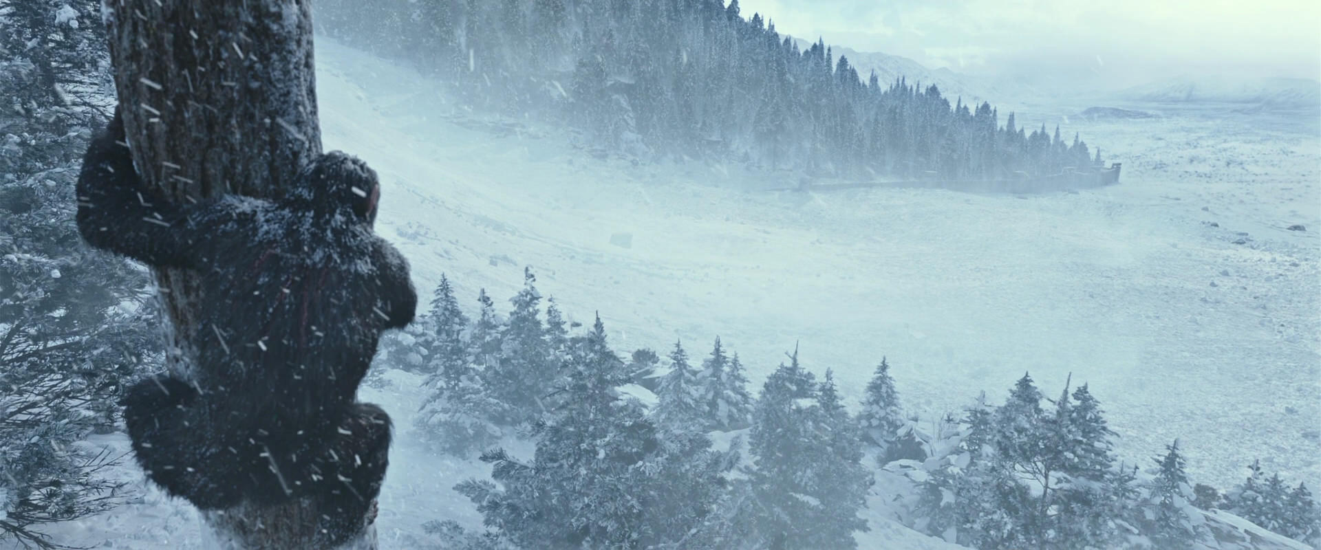 War for the Planet of the Apes (2017) movie still 14866