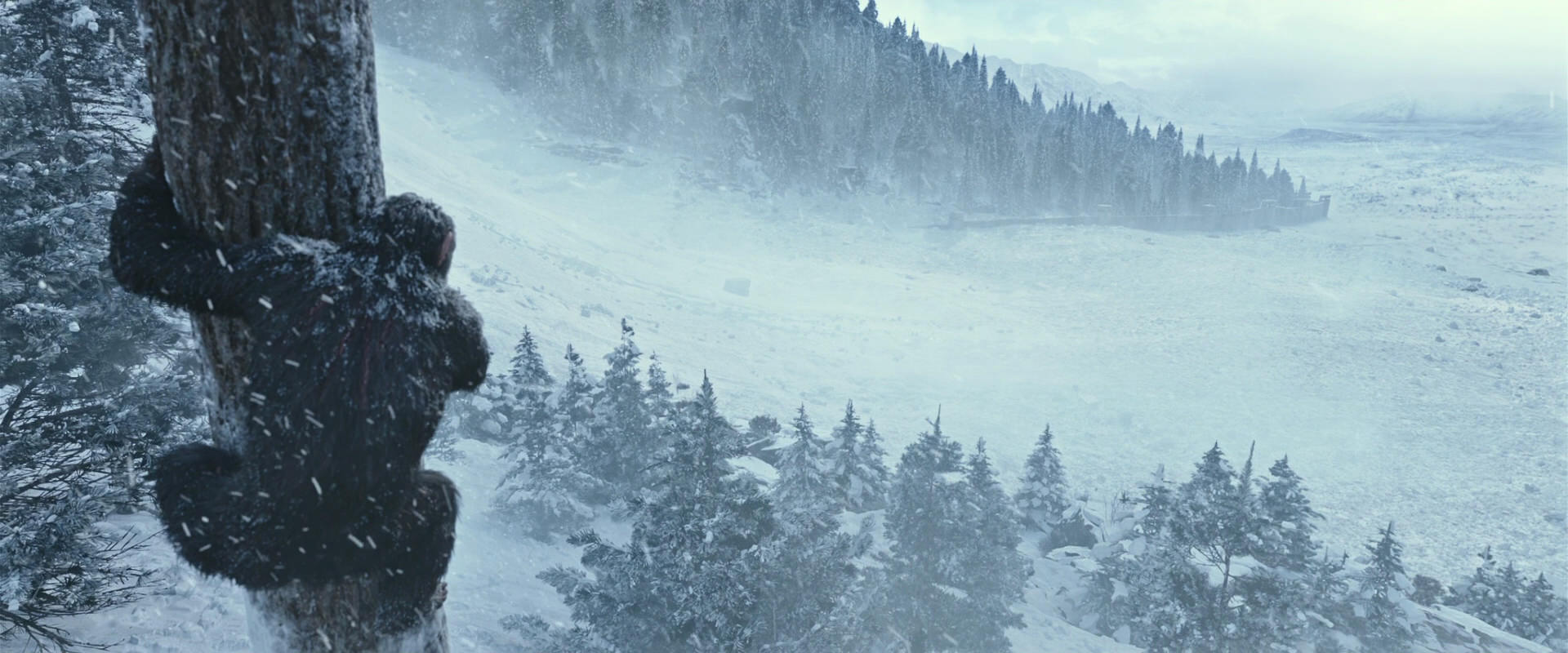 War for the Planet of the Apes (2017) HD screenshot 14867