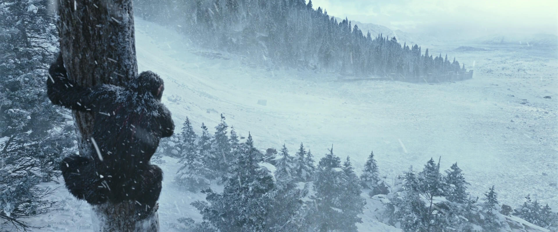War for the Planet of the Apes (2017) screencap 14868