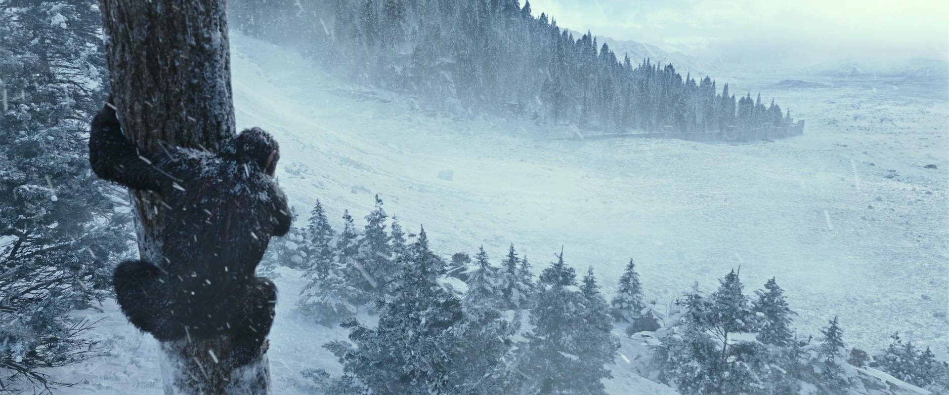 War for the Planet of the Apes (2017) movie still 14869