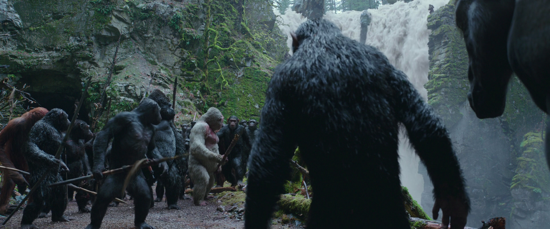 War for the Planet of the Apes (2017) HD screenshot 1487