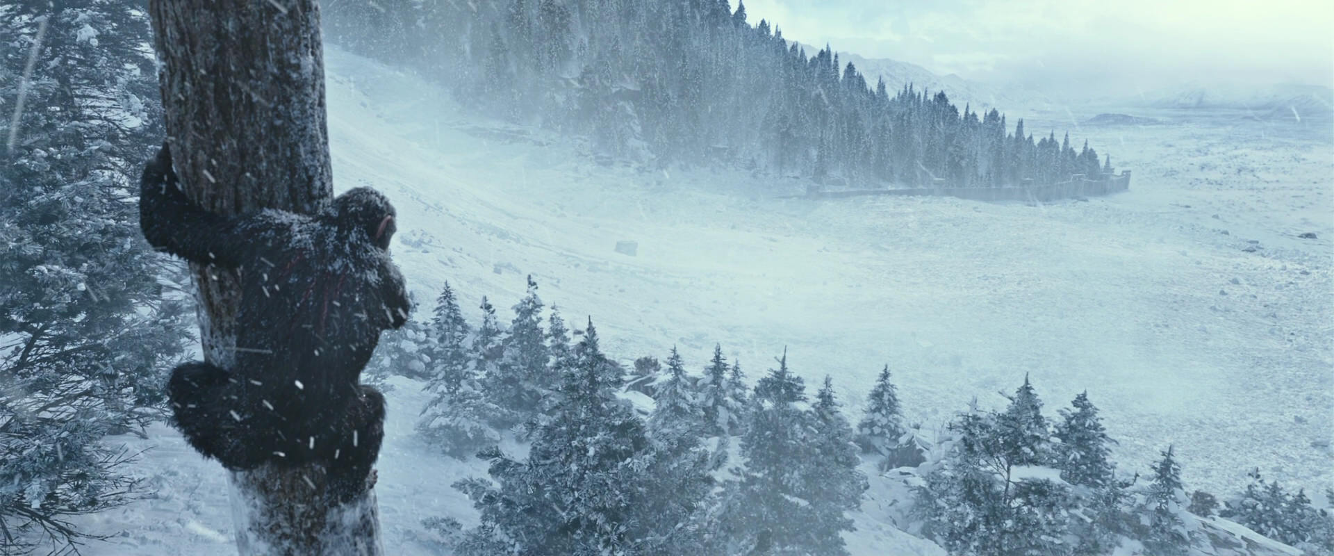 War for the Planet of the Apes (2017) HD screenshot 14870