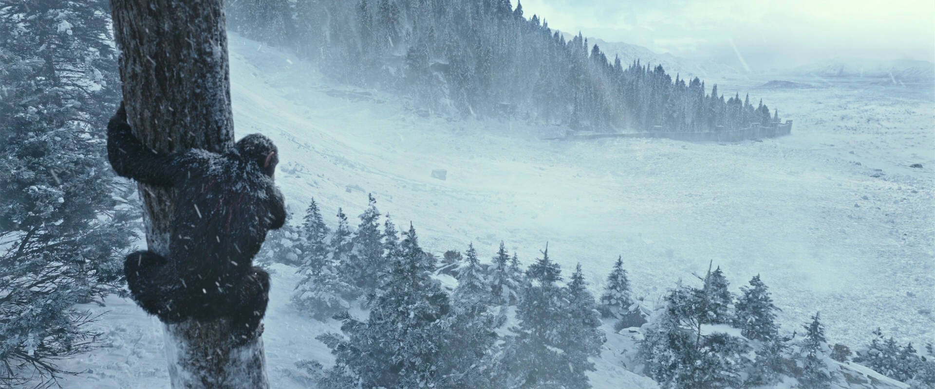 War for the Planet of the Apes (2017) screencap 14871