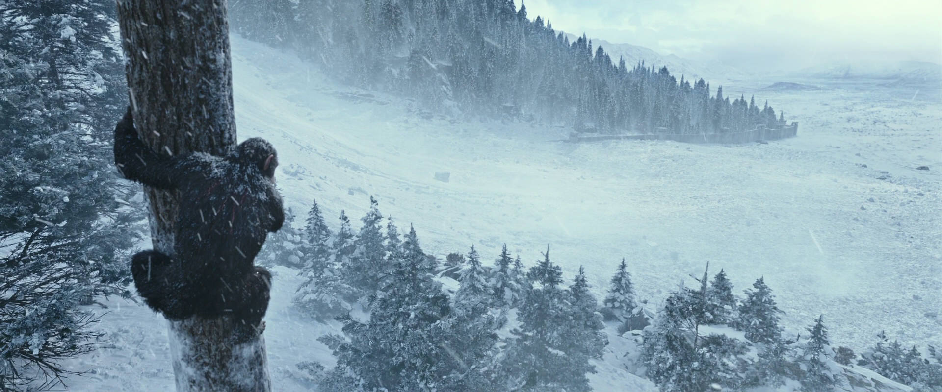 War for the Planet of the Apes (2017) movie still 14872