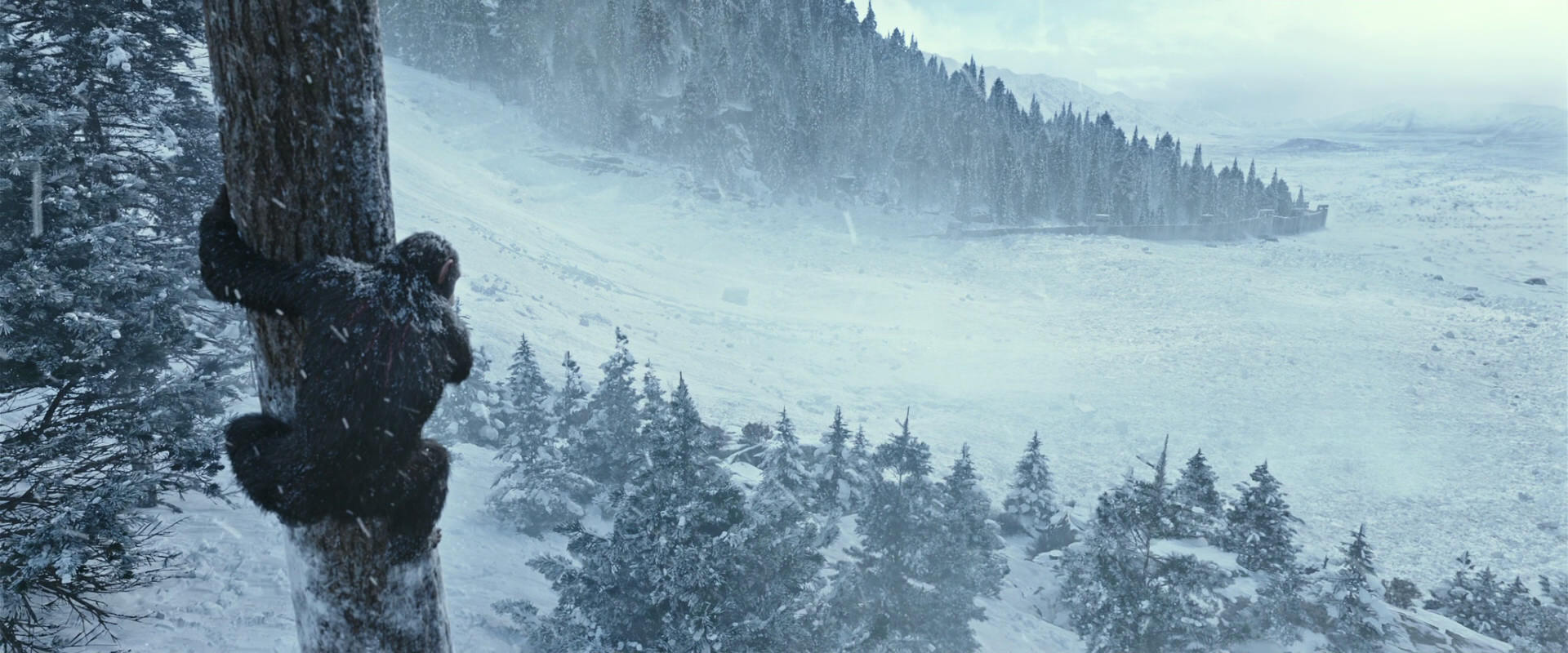 War for the Planet of the Apes (2017) HD screenshot 14873