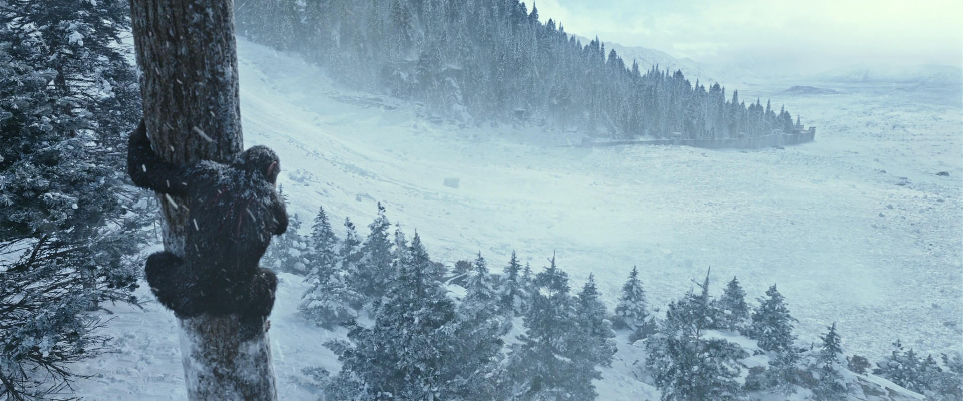 War for the Planet of the Apes (2017) screencap 14874