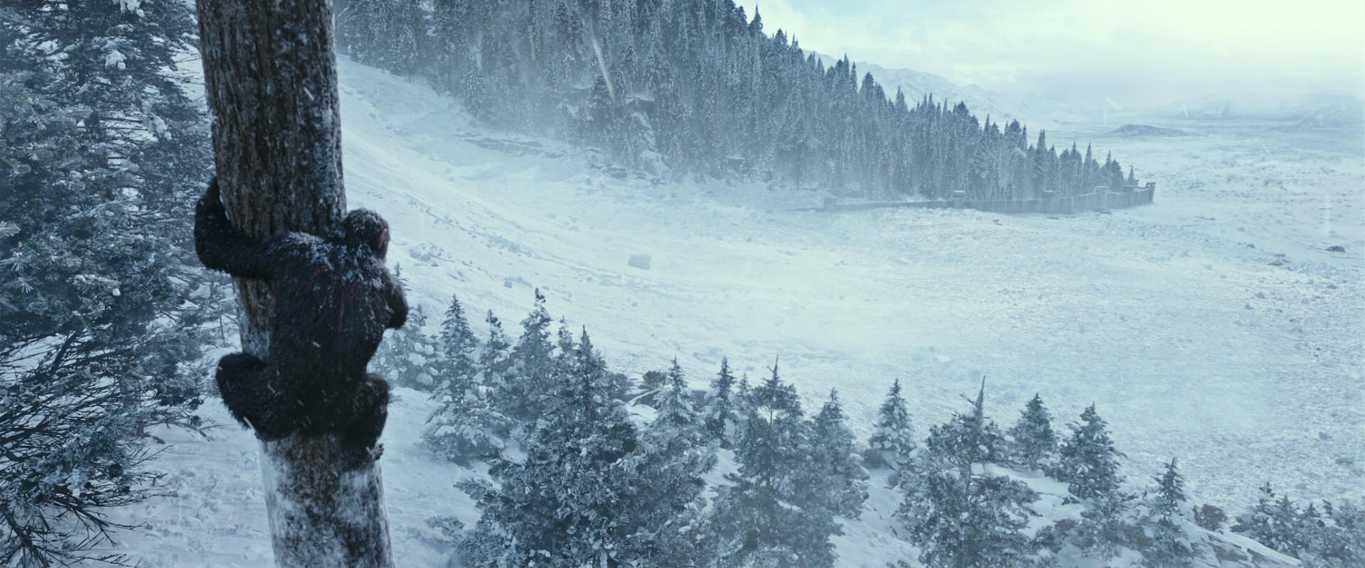 War for the Planet of the Apes (2017) HD screenshot 14876