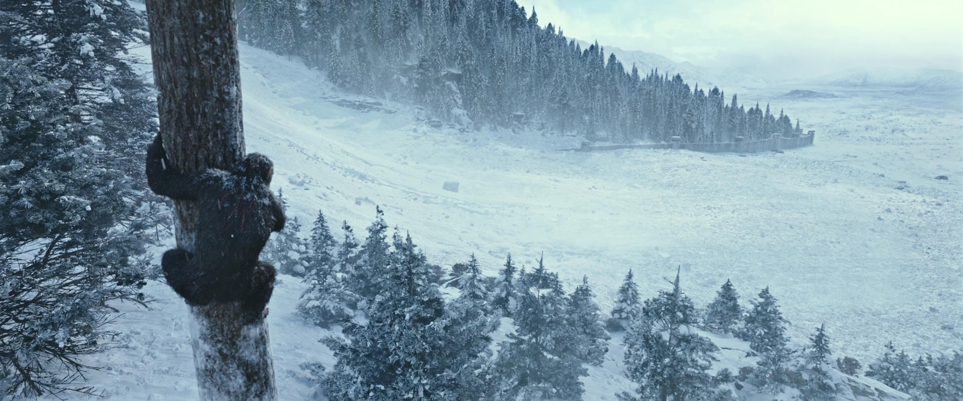 War for the Planet of the Apes (2017) movie still 14878