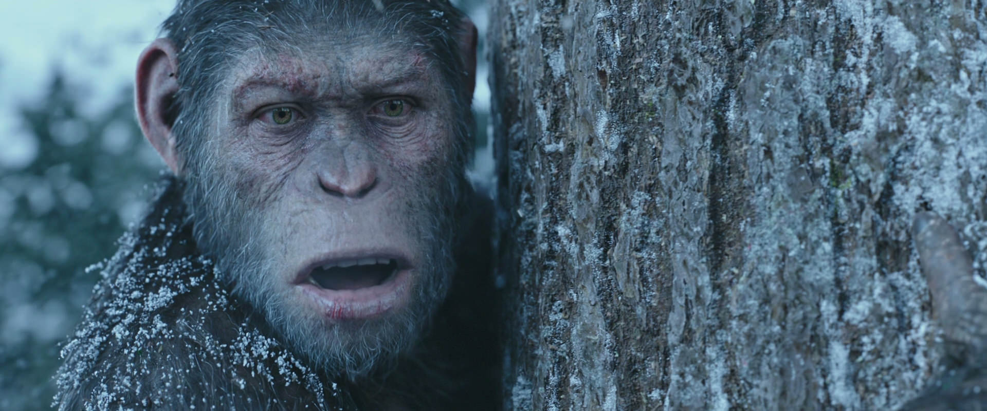 War for the Planet of the Apes (2017) HD screenshot 14879