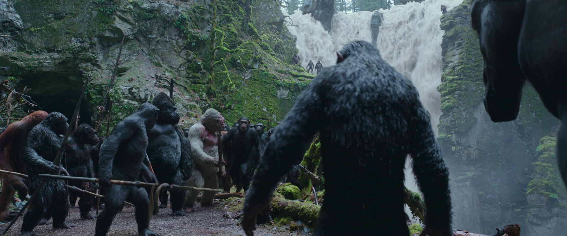 War for the Planet of the Apes (2017) screencap 1488