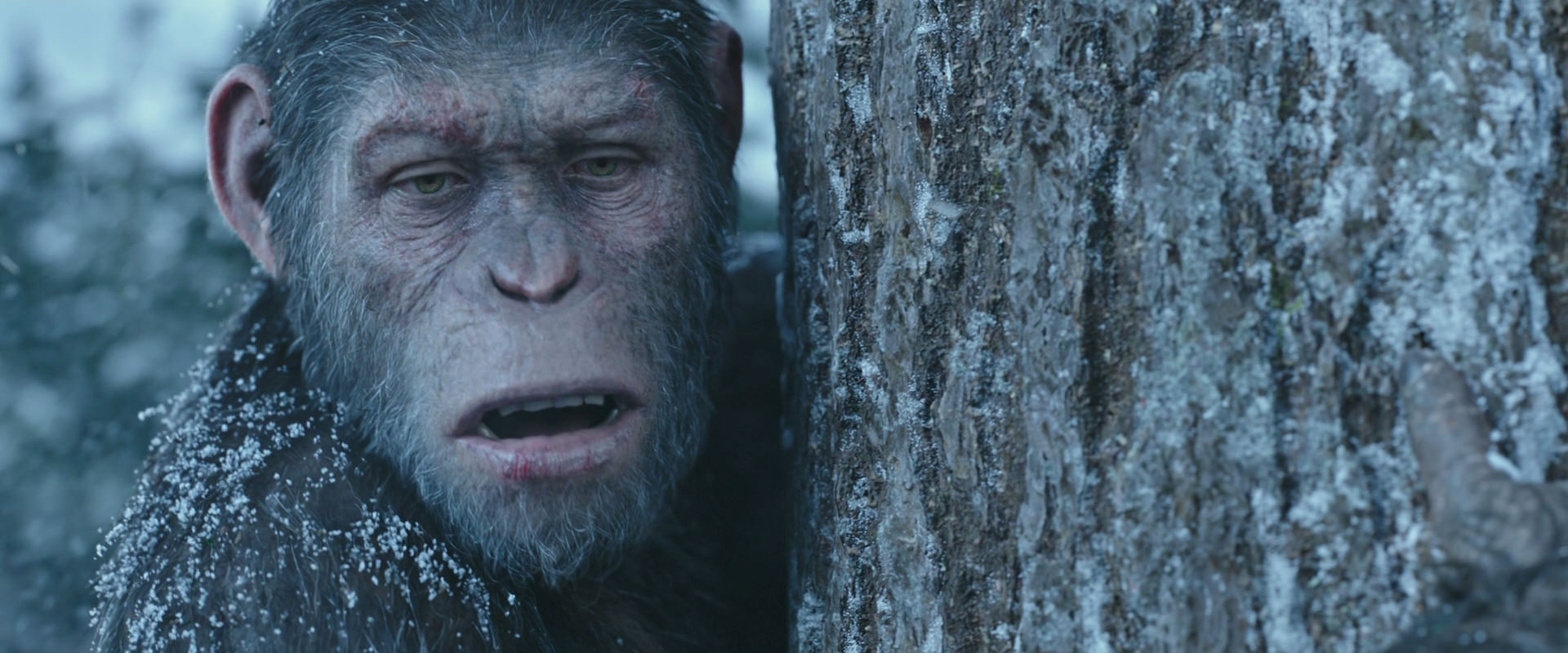 War for the Planet of the Apes (2017) screencap 14880
