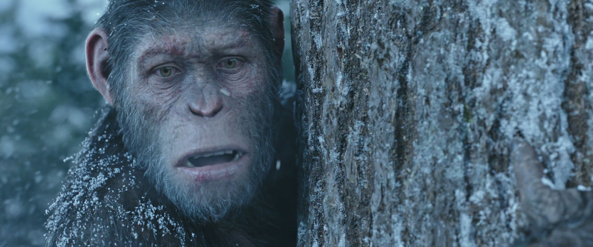 War for the Planet of the Apes (2017) movie still 14881