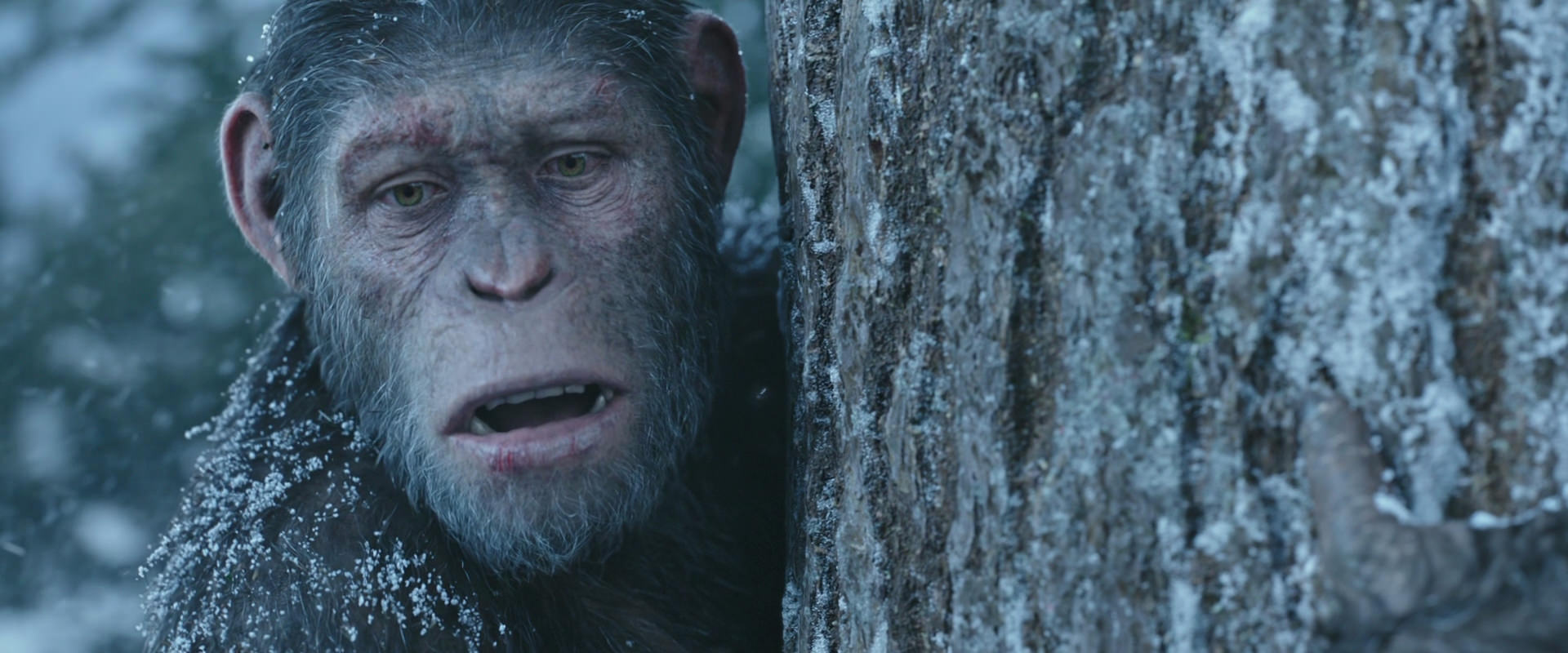 War for the Planet of the Apes (2017) HD screenshot 14882