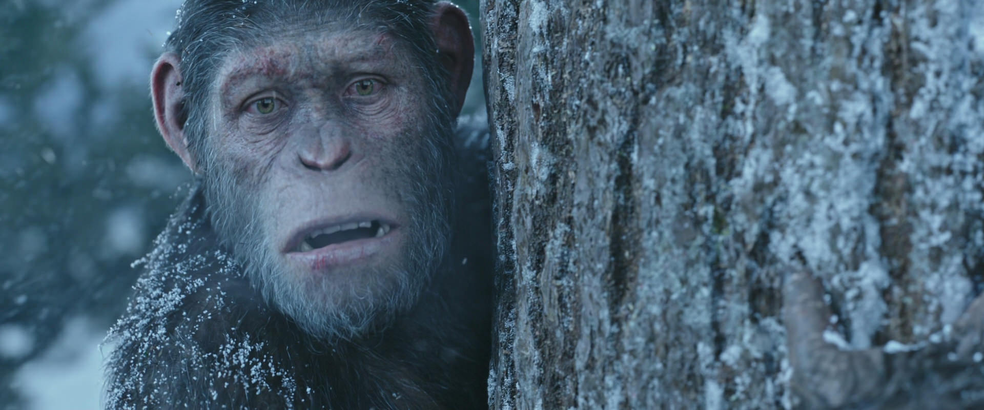 War for the Planet of the Apes (2017) screencap 14883