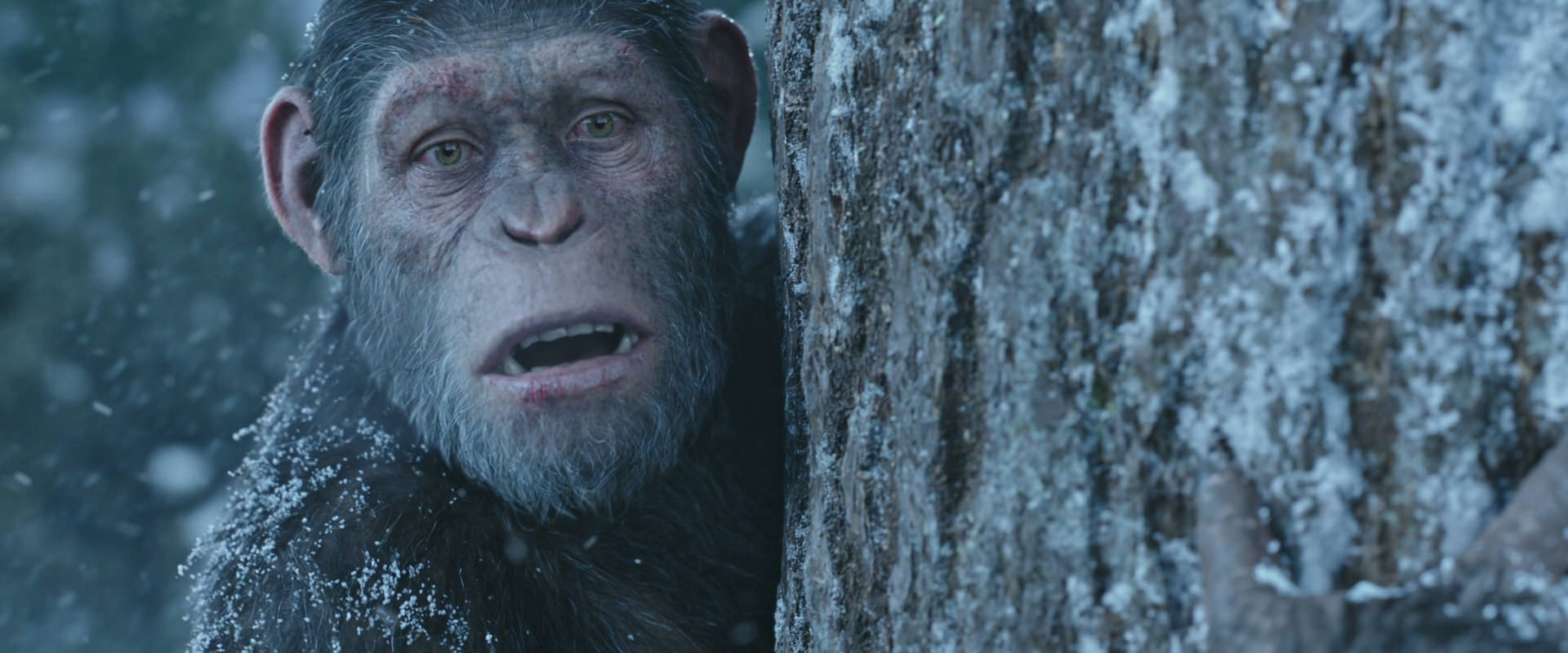 War for the Planet of the Apes (2017) movie still 14884