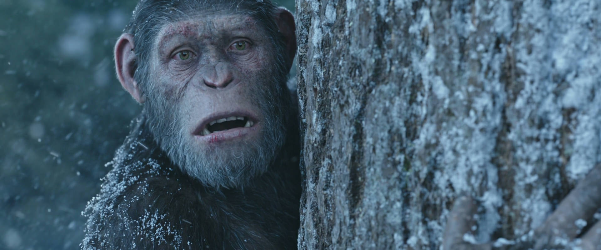 War for the Planet of the Apes (2017) HD screenshot 14885