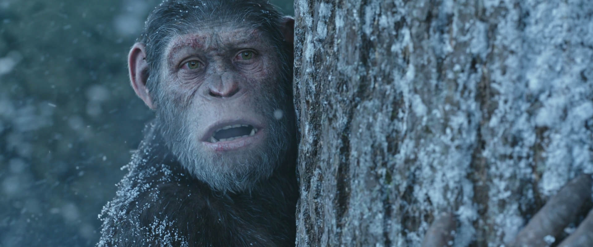 War for the Planet of the Apes (2017) screencap 14886