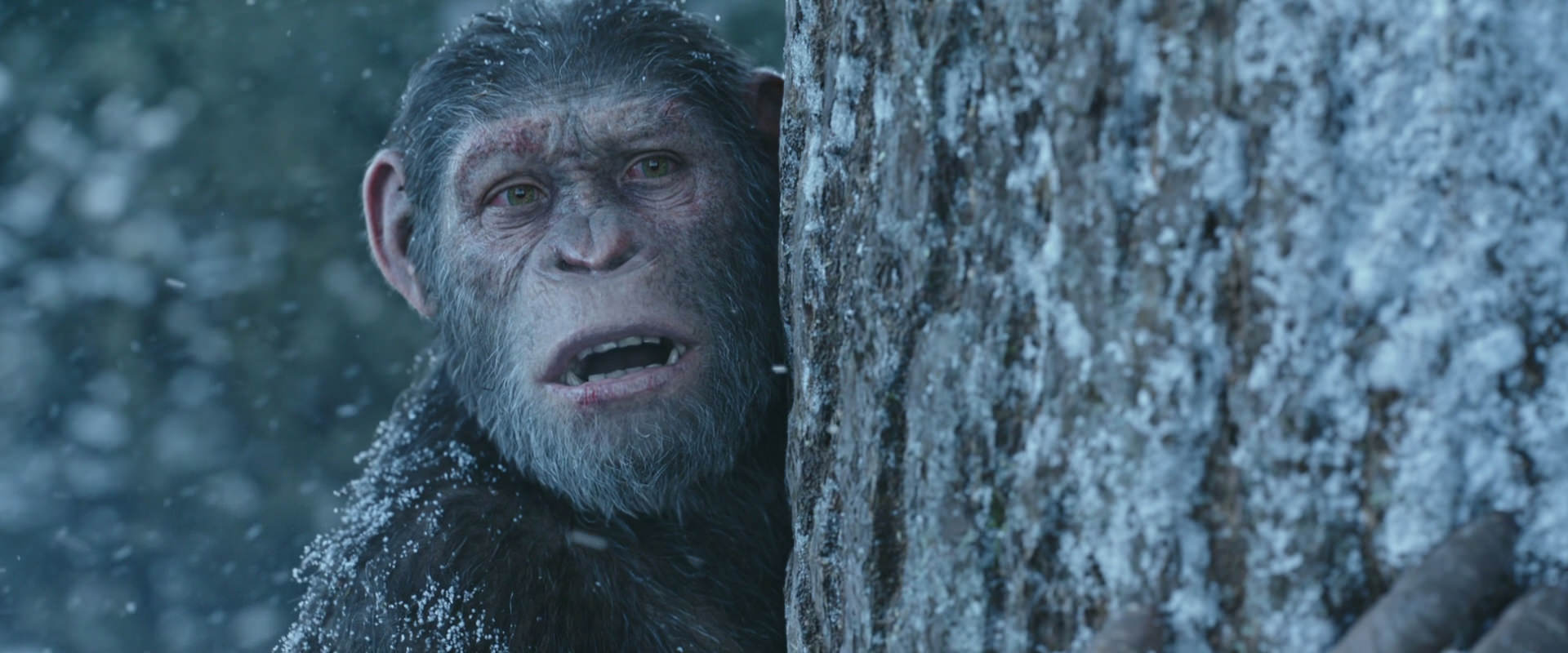 War for the Planet of the Apes (2017) movie still 14887